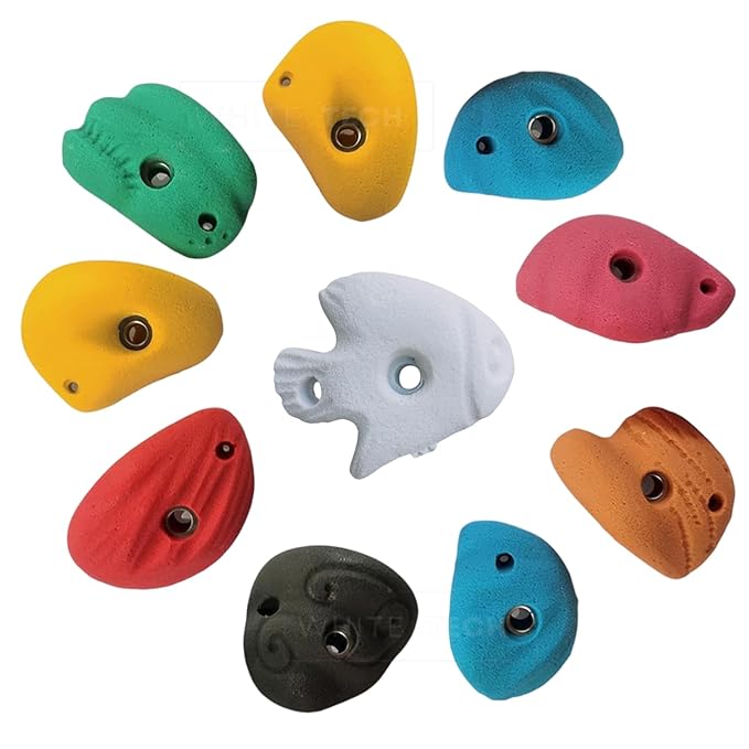 White Tech 10 Rock Climbing Holds Multi-Colored Climbing Rock for Indoor and Outdoor Playground Play Set for Kids, Adult Climbing Wall Holds with Hardware Kit DIY Installation
