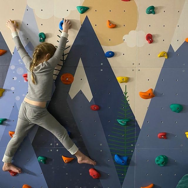 White Tech Clasic Rock Climbing Holds Set of 50 for Kids and Adult,DIY Wall Climbing Holds for Indoor and Outdoor Play Set Use (Multicolor) with Installation Kit