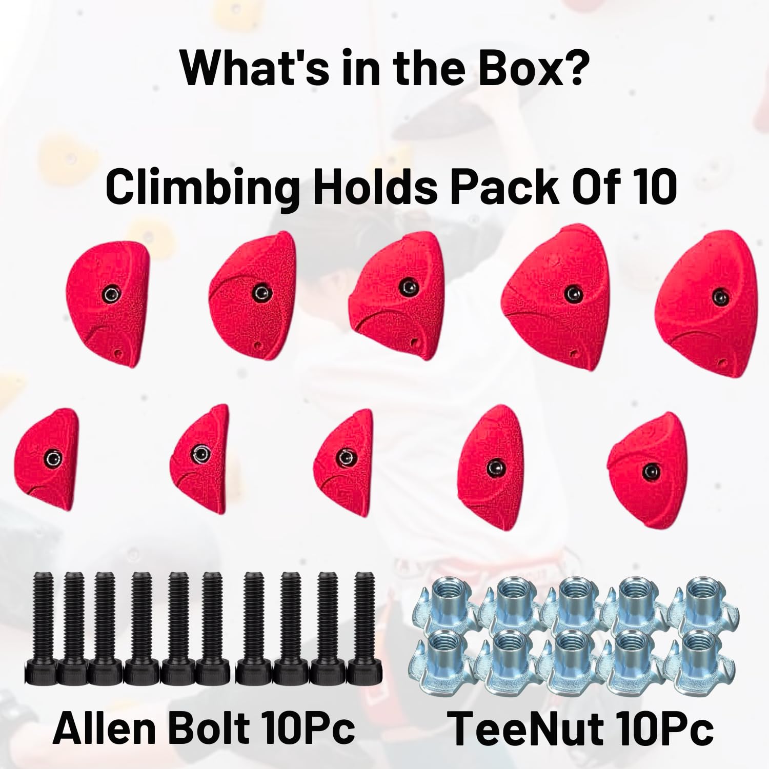 White Tech Premium Rock Climbing Holds Crimp (10 Pack) Climbing Holds for Indoor and Outdoor Play Set for Kids, Adult Easy to Install, Wall/Wood Long Lasting Crimp Grips