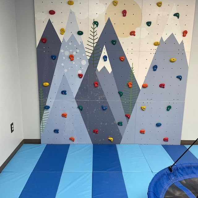 Withe Tech Rock Wall Climbing Holds Set of 30 for Kids and Adult,DIY Wall Climbing Holds for Indoor and Outdoor Play Set Use (Multicolor) with Installation Kit